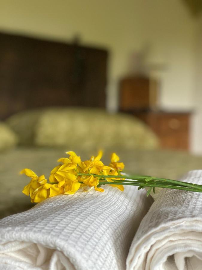 Cascina Boschetto Bed & Breakfast Saliceto Eksteriør bilde
