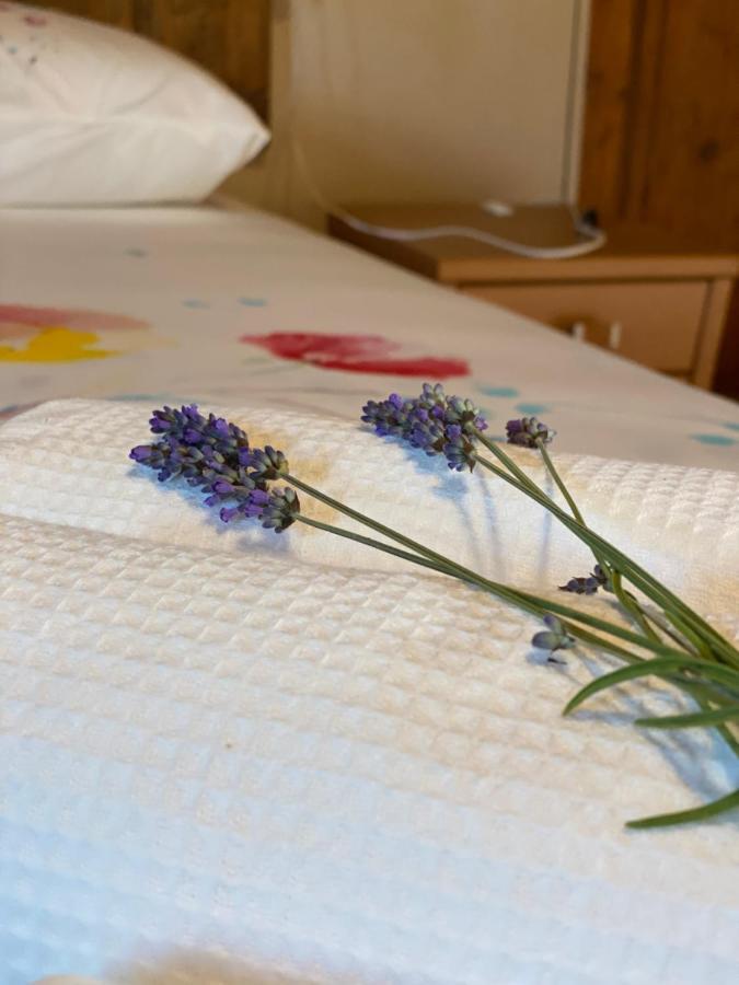 Cascina Boschetto Bed & Breakfast Saliceto Eksteriør bilde