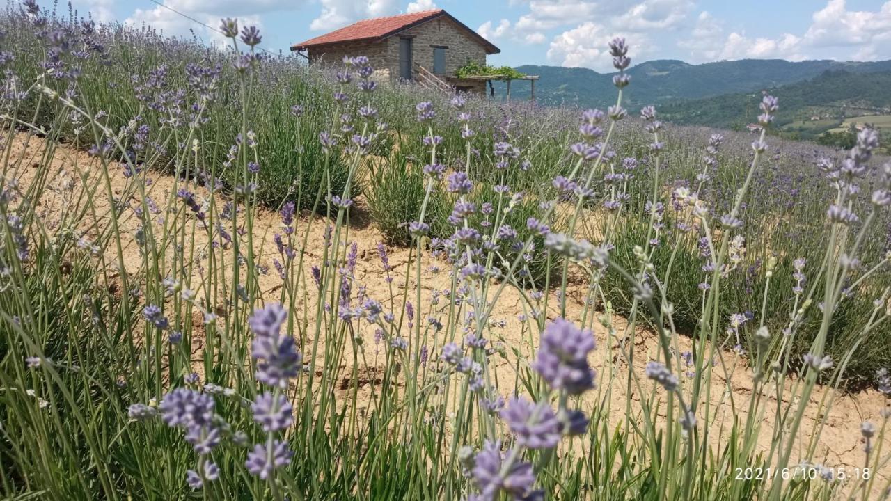 Cascina Boschetto Bed & Breakfast Saliceto Eksteriør bilde