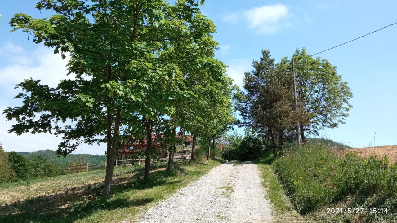 Cascina Boschetto Bed & Breakfast Saliceto Eksteriør bilde