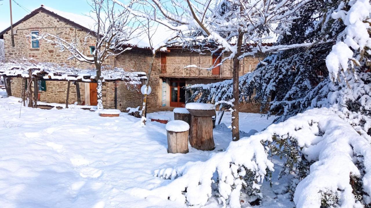 Cascina Boschetto Bed & Breakfast Saliceto Eksteriør bilde