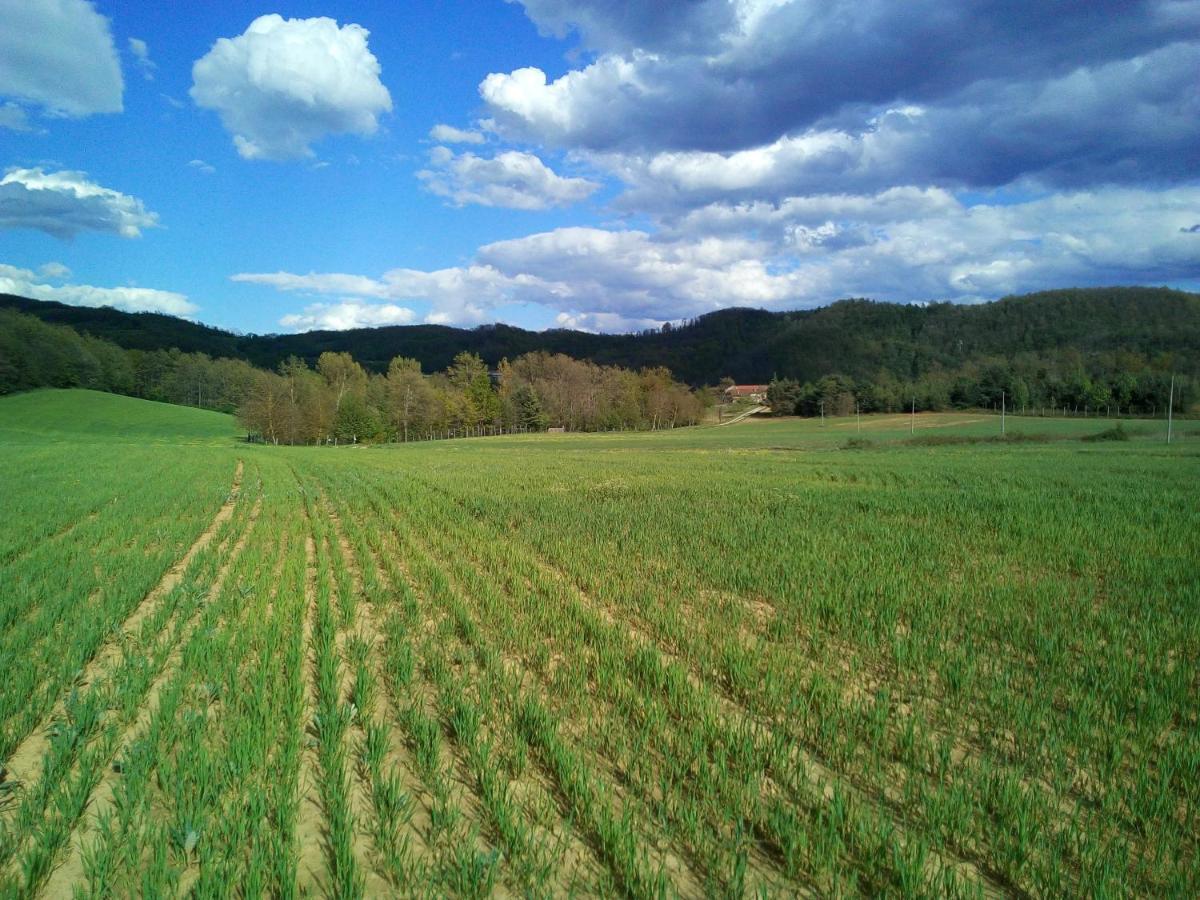 Cascina Boschetto Bed & Breakfast Saliceto Eksteriør bilde
