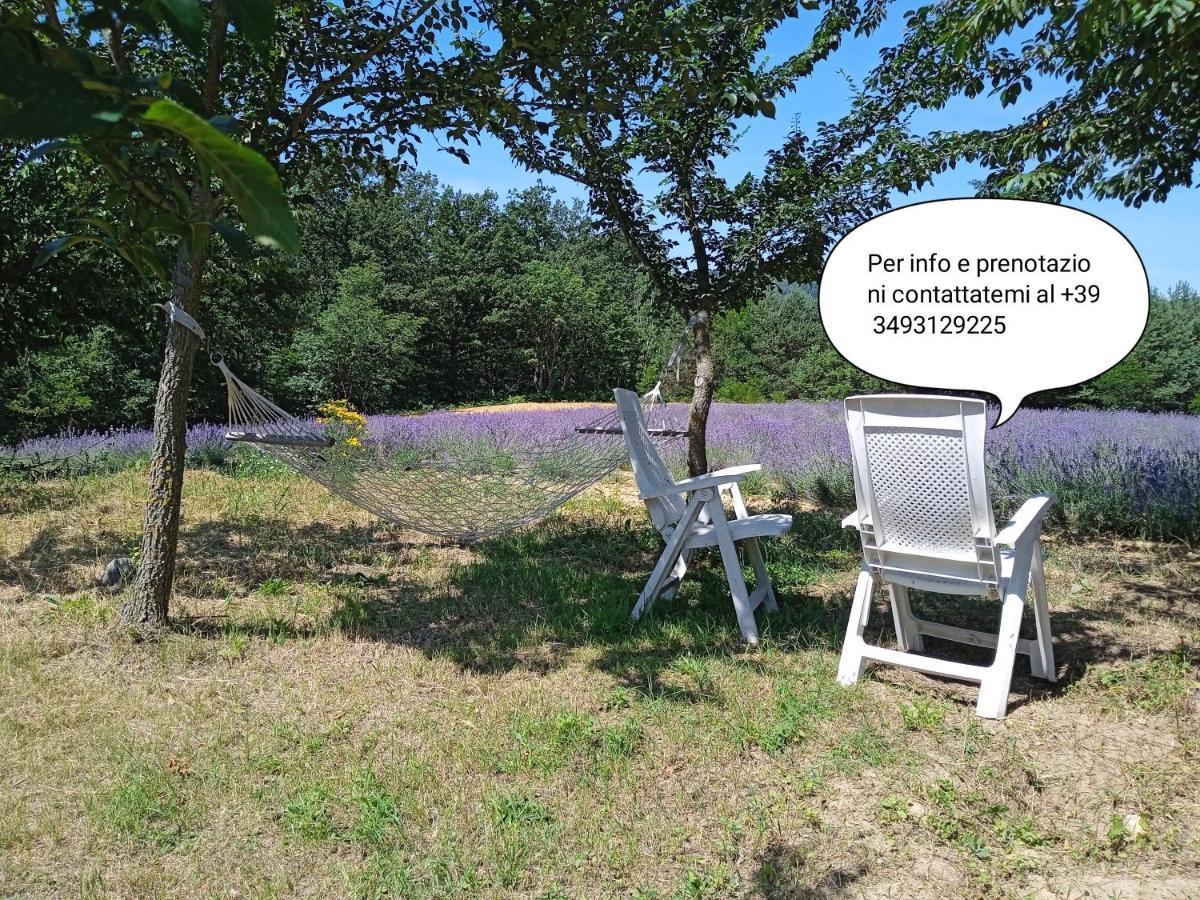 Cascina Boschetto Bed & Breakfast Saliceto Eksteriør bilde